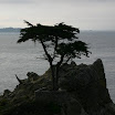 IMG_6792.JPG