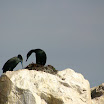 IMG_6829.JPG