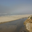 IMG_6666.JPG