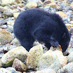 img_2008.jpg