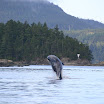 img_2118.jpg