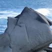 IMG_1844.JPG