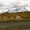 imm004.jpg