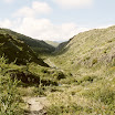 imm021.jpg