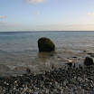 IMG_3234.jpg
