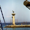 imm014.JPG