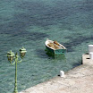 imm007.JPG