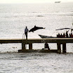 imm029-1.JPG