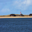 sylt-picasa_066.jpg