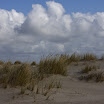 sylt-picasa_028.JPG