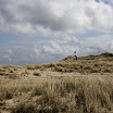 sylt-picasa_027.jpg