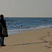 sylt-picasa_123.jpg