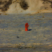 sylt-picasa_126.jpg