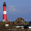 sylt-picasa_139.jpg