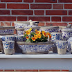 sylt-picasa_167.jpg