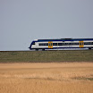 sylt-picasa_180.jpg
