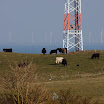 sylt-picasa_185.jpg