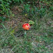 upload-suedtirol079.jpg