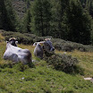 upload-suedtirol088.jpg