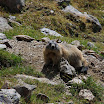 upload-suedtirol104.jpg
