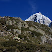 upload-suedtirol181.jpg