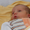julius_0019.JPG