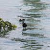 06-2009-bodensee-120.jpg