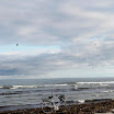 _MG_6624.JPG