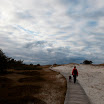 _MG_6663.JPG