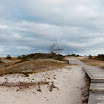 _MG_6668.JPG