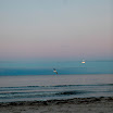_MG_6787.JPG