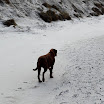 _MG_6699.JPG
