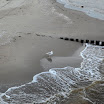 _MG_6843.JPG