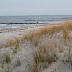 _MG_6846.JPG