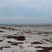 _MG_6859.JPG