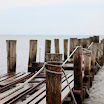 _MG_6872.JPG