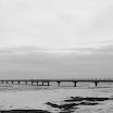 _MG_6883.JPG