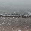 _MG_6931.JPG