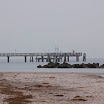 _MG_1629.JPG