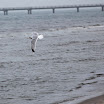 _MG_7186.JPG