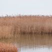 _MG_1844.JPG
