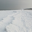 _MG_0187.jpg
