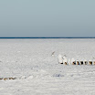 _MG_1451.jpg