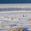 _MG_0376.jpg