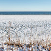 _MG_0384.jpg