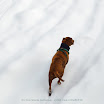 _MG_0200-Bearbeitet.jpg