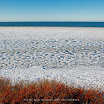_MG_0385-Bearbeitet.jpg