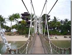 P1000501