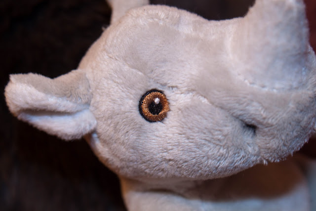 IMAGE: http://lh4.ggpht.com/_DZkpCgoYoRs/SxAd-vWNfaI/AAAAAAAABDI/6KAhF5kpElc/s640/IMG_0809.jpg