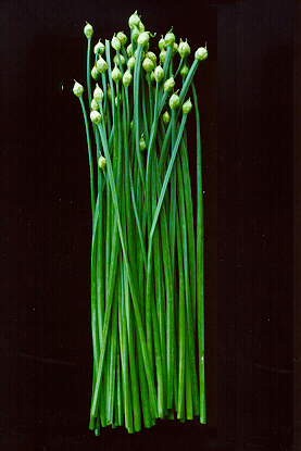 [chinese garlic chives with flowers[2].jpg]